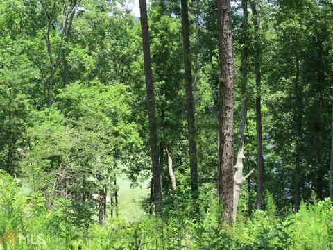 112 Timber Ridge Trl, Toccoa, GA 30577 photo 24