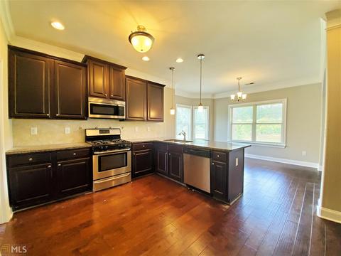 917 Damson Trl, Hampton, GA 30228 photo 8