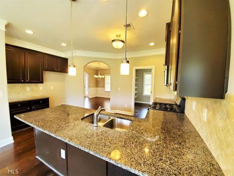 917 Damson Trl, Hampton, GA 30228 photo 6
