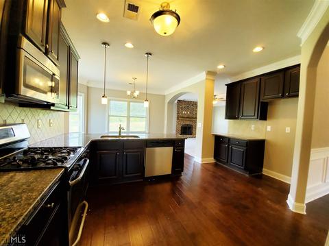 917 Damson Trl, Hampton, GA 30228 photo 7