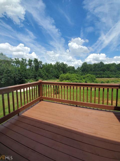 917 Damson Trl, Hampton, GA 30228 photo 16