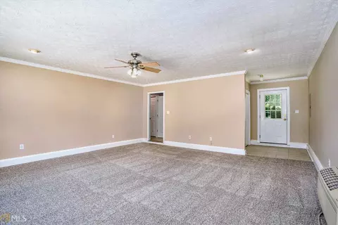 250 Steele Branch Ct, Hampton, GA 30228 photo 12