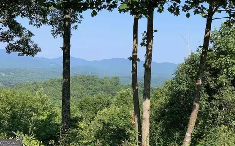 lot7 Golden Oak Ests, Warne, NC 28909