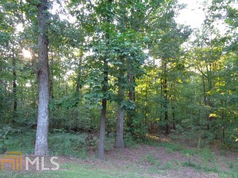 1027 Fort Lamar Rd, Commerce, GA 30530 photo 30