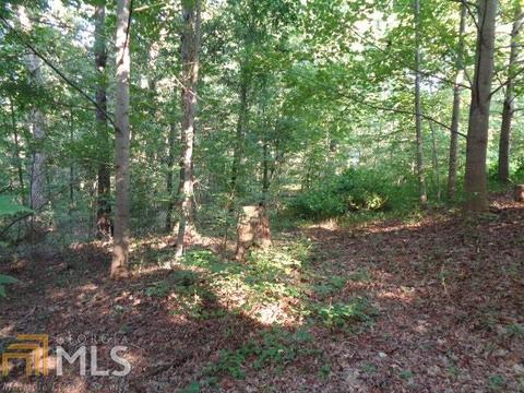 1027 Fort Lamar Rd, Commerce, GA 30530 photo 10