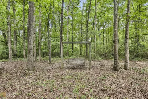 594 School Rd, Hampton, GA 30228 photo 29