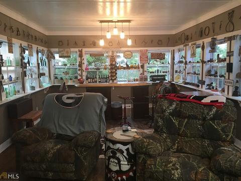 150 Lakeview Dr, Brooks, GA 30205 photo 27