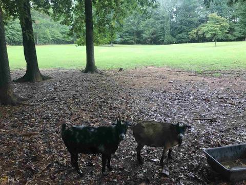 680 Shake Rag Rd, Pine Mountain, GA 31822 photo 26