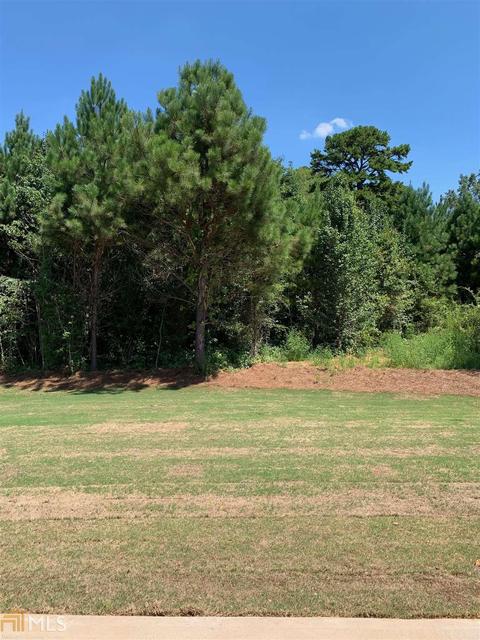 275 Kyndal Dr, Hampton, GA 30228 photo 47