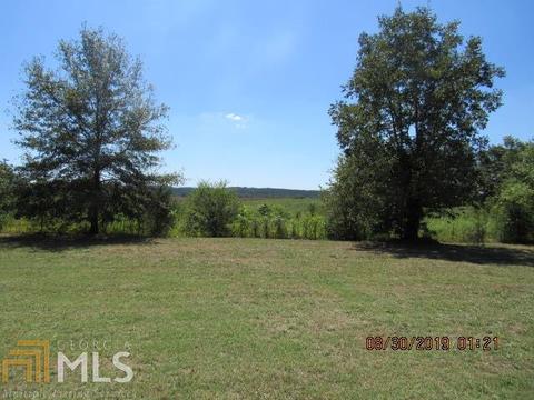 856 Nelms Rd, Carnesville, GA 30521 photo 5