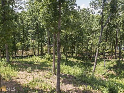 115 River Point Rd, Jackson, GA 30233 photo 19
