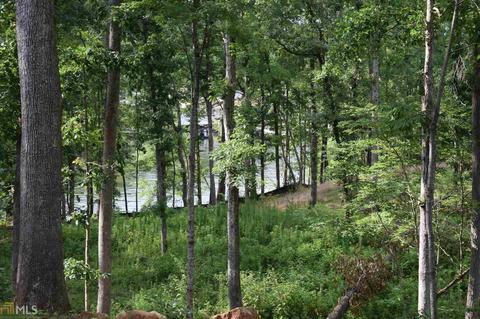115 River Point Rd, Jackson, GA 30233 photo 3