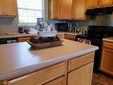 1094 Coppermine Rd, Buchanan, GA 30113 photo 9