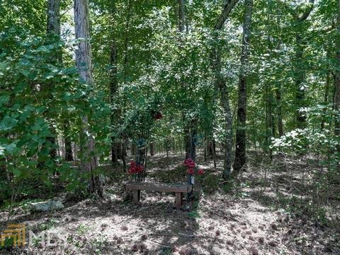 308 Mountain Laurel Walk, Canton, GA 30114 photo 49