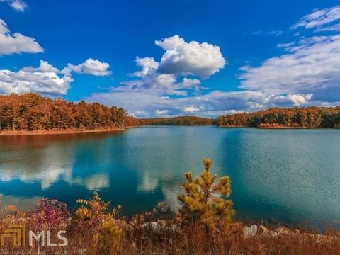 308 Mountain Laurel Walk, Canton, GA 30114 photo 58