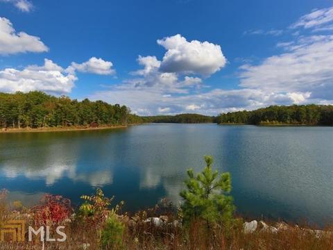 308 Mountain Laurel Walk, Canton, GA 30114 photo 59