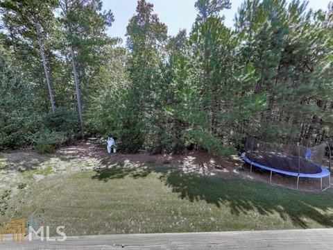 308 Mountain Laurel Walk, Canton, GA 30114 photo 50