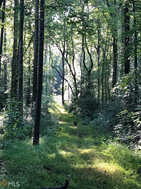 873 Black Mountain Rd, Toccoa, GA 30577 photo 24