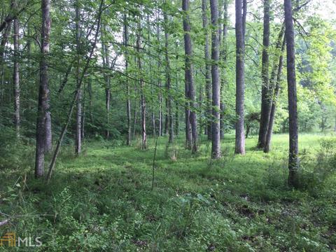 873 Black Mountain Rd, Toccoa, GA 30577 photo 22
