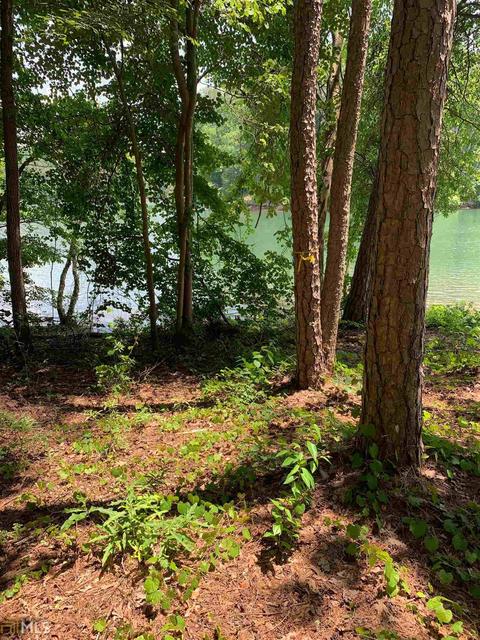 272 Ramey Rd, Westminster, SC 29693 photo 4