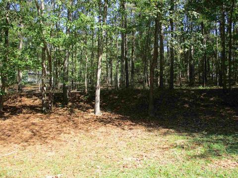 190 Natures Path, Tyrone, GA 30290 photo 3