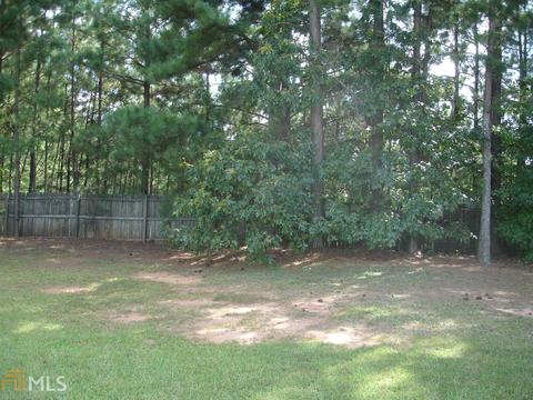140 Goldleaf Dr, Hampton, GA 30228 photo 33