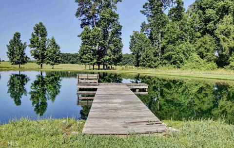 319 Brooks Rd, Brooks, GA 30205 photo 38