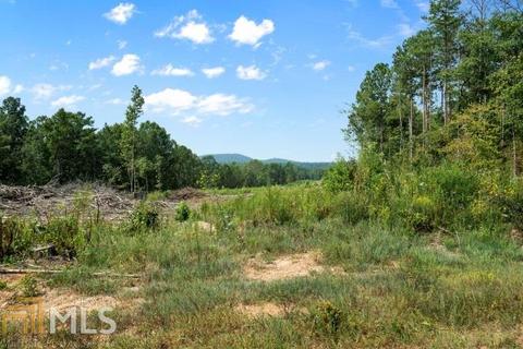 711 Nitra, Bremen, GA 30110 photo 30