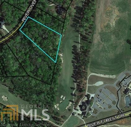 509 River Overlook, Forsyth, GA 31029 photo 12