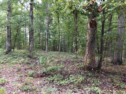 509 River Overlook, Forsyth, GA 31029 photo 6