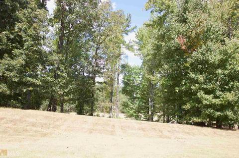 4073 Rotterdam Pass, Hampton, GA 30228 photo 50