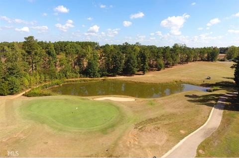 4073 Rotterdam Pass, Hampton, GA 30228 photo 54
