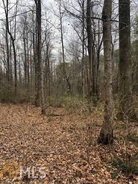 2725 Boxankle Rd, Forsyth, GA 31029 photo 5