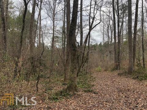 2725 Boxankle Rd, Forsyth, GA 31029 photo 3