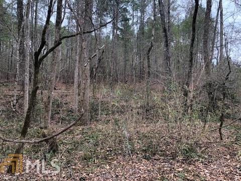 2725 Boxankle Rd, Forsyth, GA 31029 photo 1