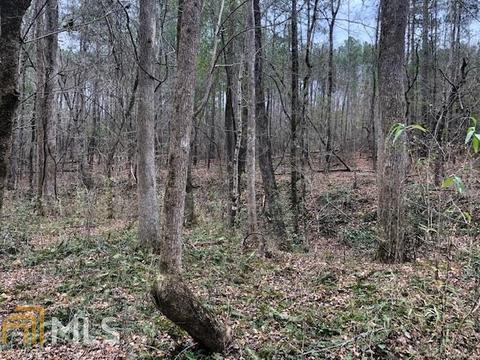 2725 Boxankle Rd, Forsyth, GA 31029 photo 7