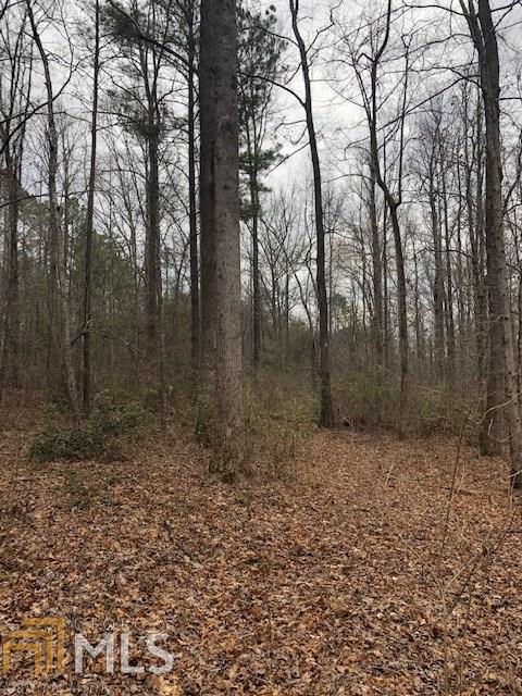 2725 Boxankle Rd, Forsyth, GA 31029 photo 6