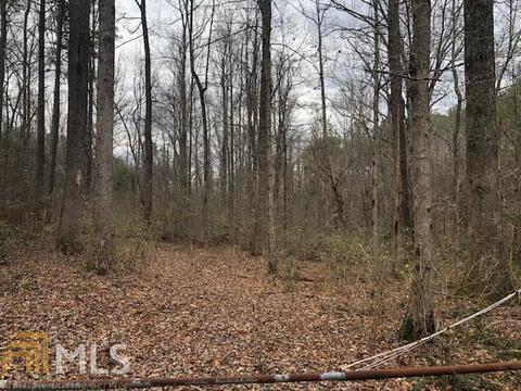 2725 Boxankle Rd, Forsyth, GA 31029 photo 2