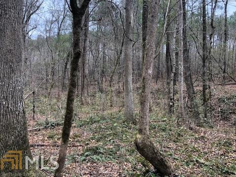 2725 Boxankle Rd, Forsyth, GA 31029 photo 8