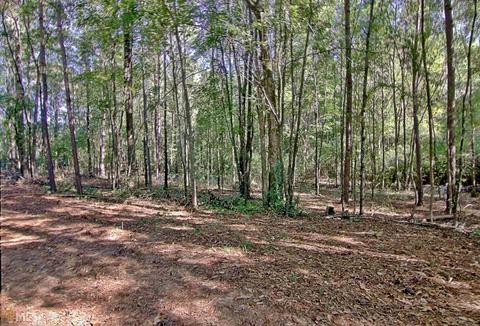 154 Hardy Rd, Brooks, GA 30205 photo 89