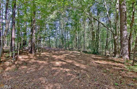 154 Hardy Rd, Brooks, GA 30205 photo 88
