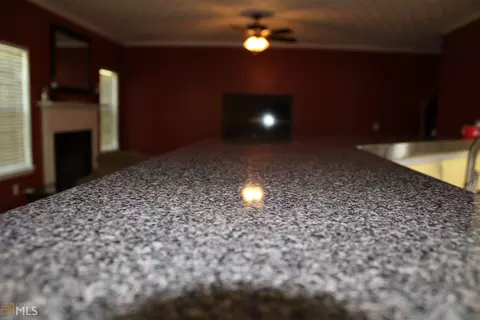 552 Cornelius Dr, Hampton, GA 30228 photo 18