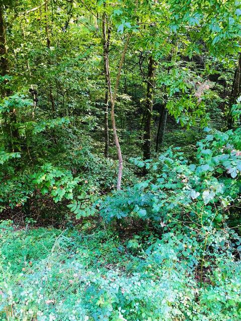 669 Cherokee Rd, Toccoa, GA 30577 photo 5