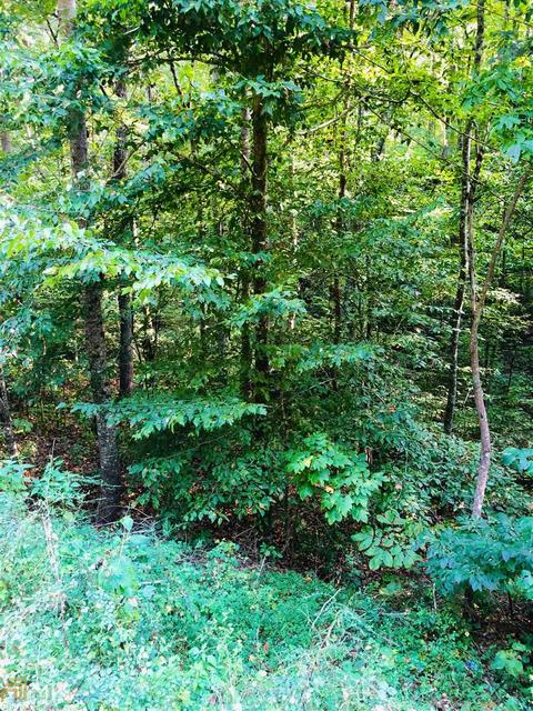 669 Cherokee Rd, Toccoa, GA 30577 photo 8