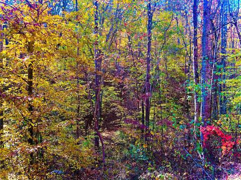 669 Cherokee Rd, Toccoa, GA 30577 photo 4