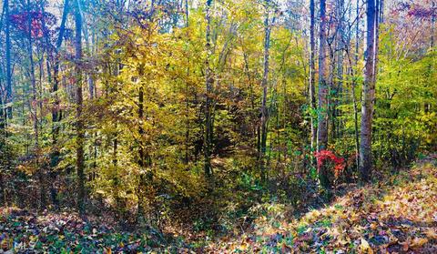 669 Cherokee Rd, Toccoa, GA 30577 photo 6