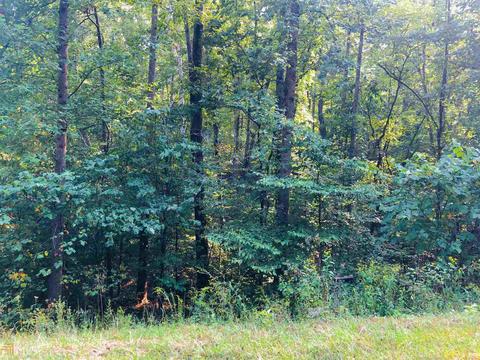 669 Cherokee Rd, Toccoa, GA 30577 photo 7