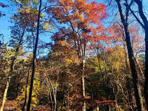 669 Cherokee Rd, Toccoa, GA 30577 photo 3