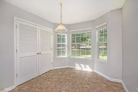 10801 Misty Meadows Ct, Hampton, GA 30228 photo 16