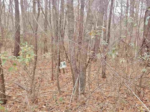 151 Mccracken Dr, Seneca, SC 29678 photo 3